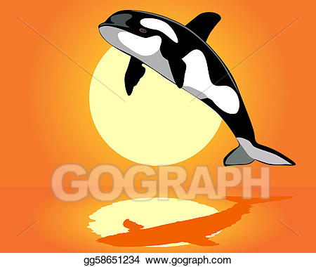 Clipart whale orange. Vector killer over the