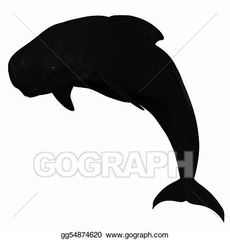 clipart whale pilot whale