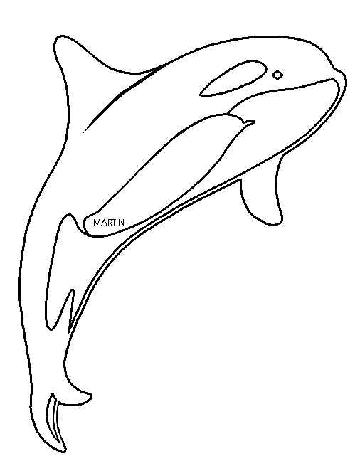 clipart whale porpoise