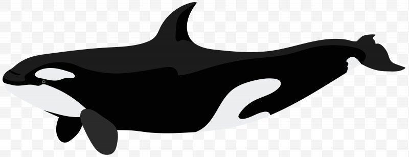 Dolphin clip art png. Orca clipart killer whale