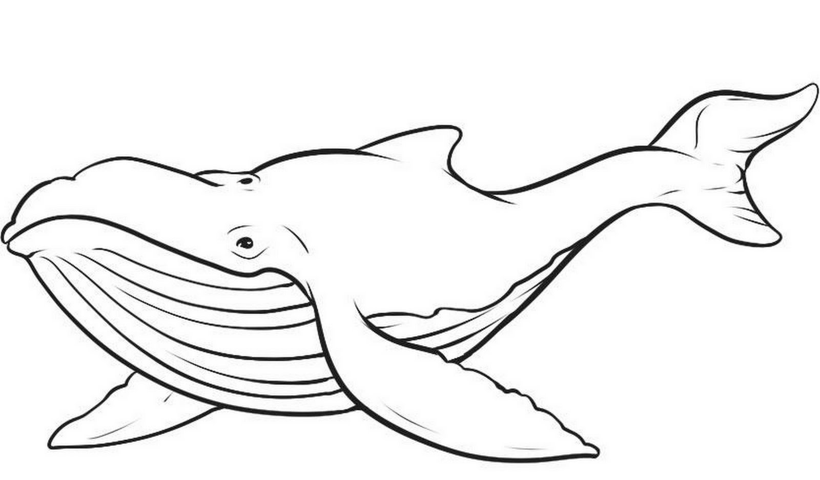 clipart whale printable