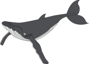 clipart whale public domain