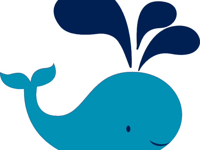 clipart whale real whale