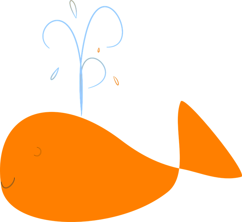cool clipart whale