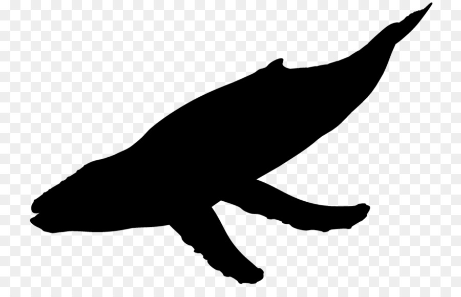 clipart whale silhouette