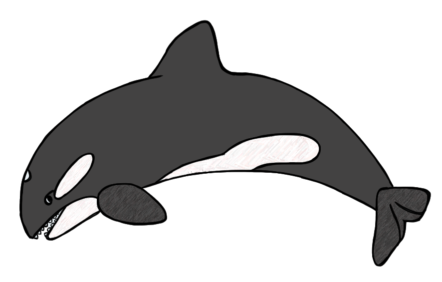 clipart whale singing