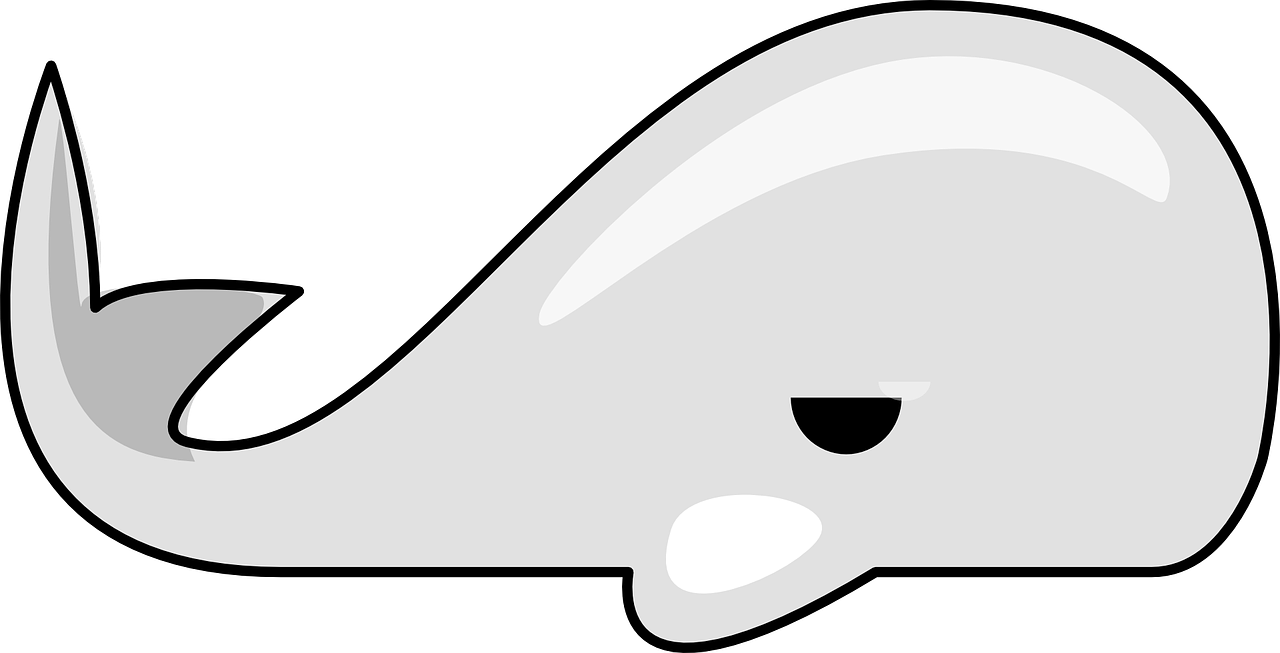 Clipart whale stencil. How to draw a