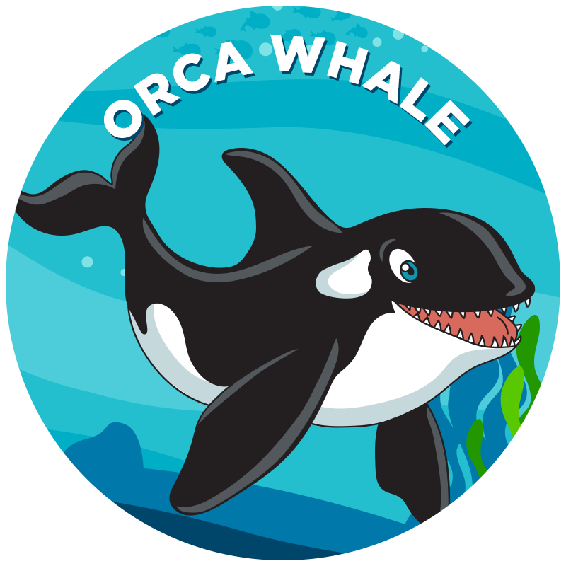 Propel swim academy. Orca clipart whale swimming