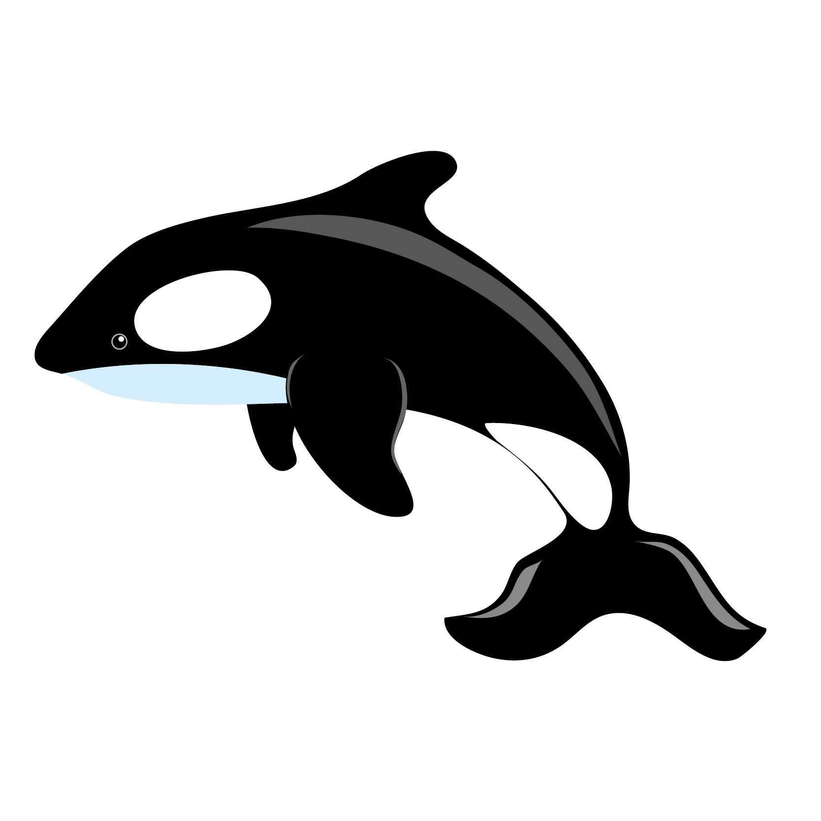 orca clipart vector