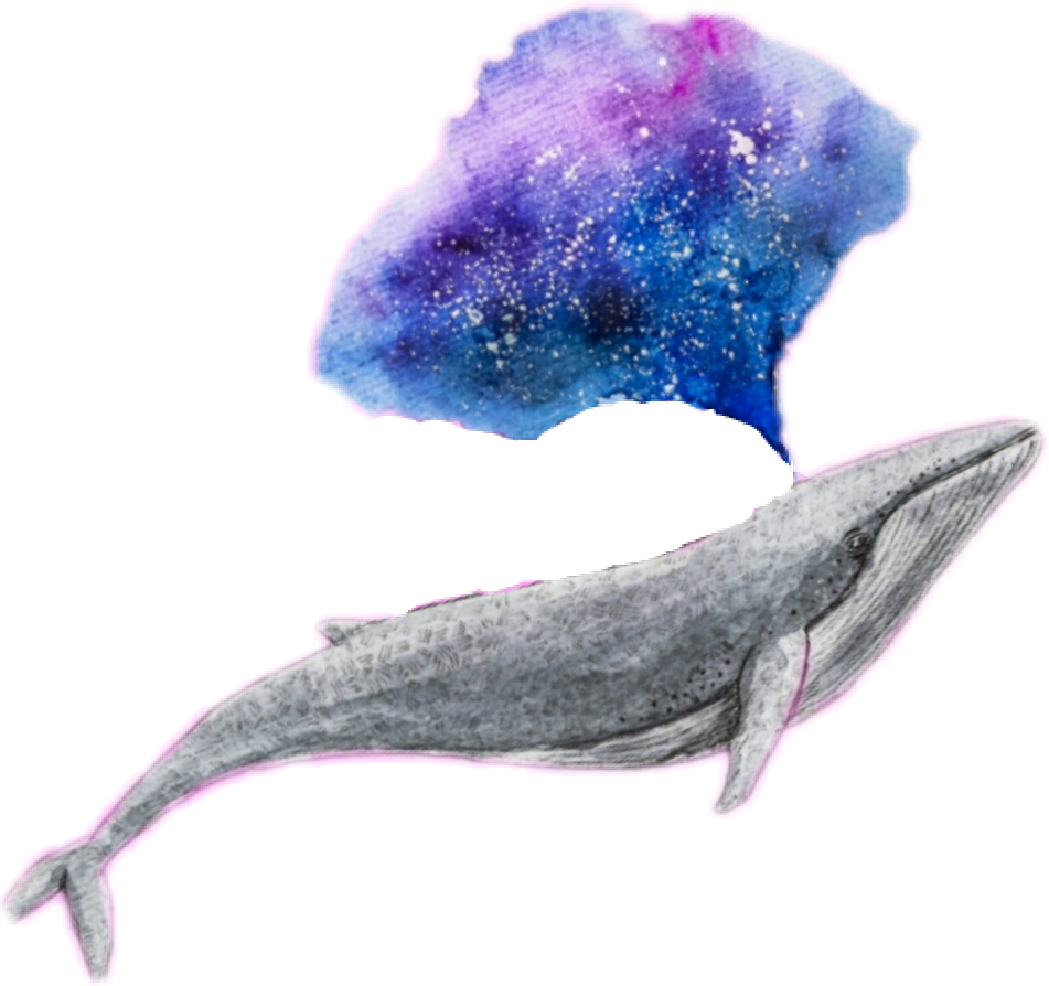 clipart whale watercolor