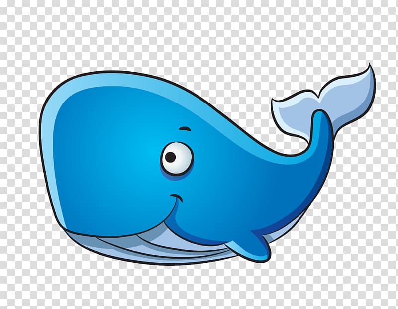 clipart whale whale dolphin