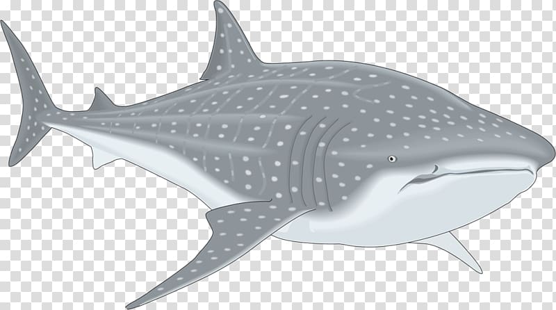 nemo clipart whale shark