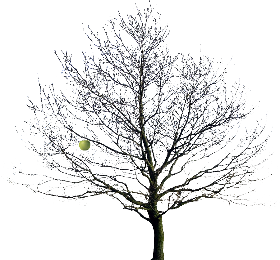 Bare png transparent images. Winter clipart apple tree