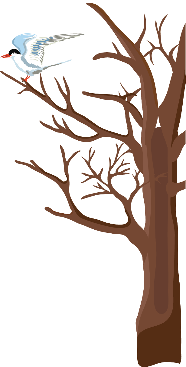Daxue winter tree clip. Planting clipart withered