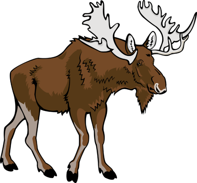 Free cliparts download clip. Winter clipart moose