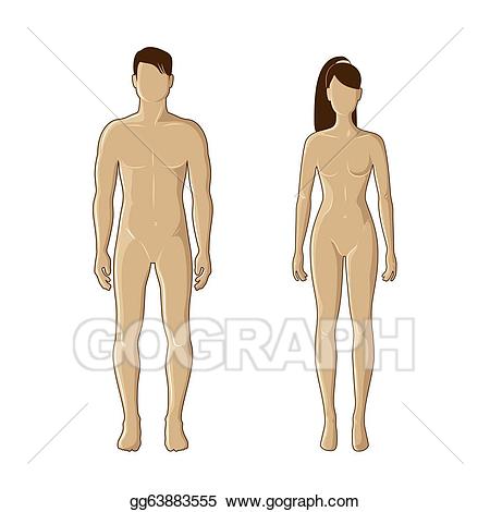 Clipart woman mannequin. Vector art male and