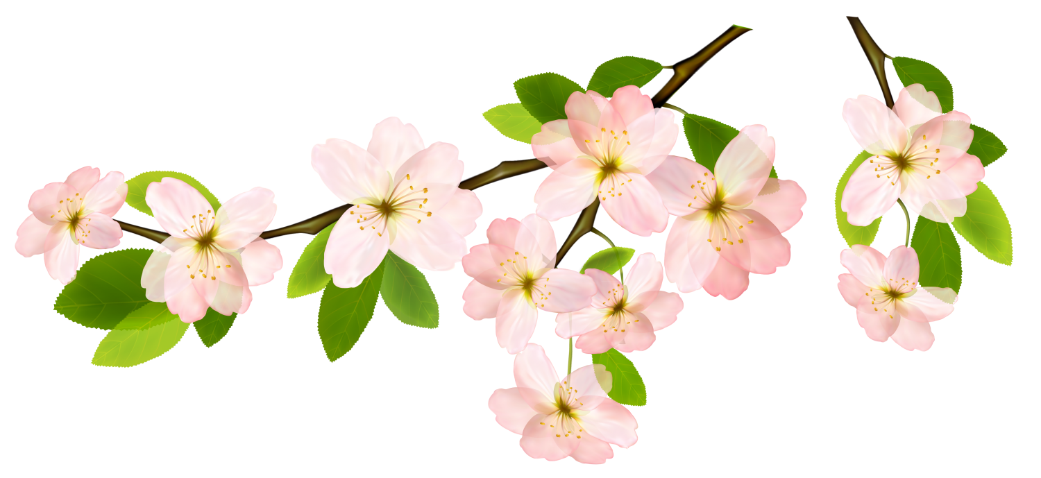 Clipart writing messy. Words growing learning forgiving