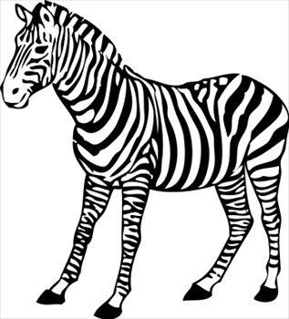 Clipart zebra. Free graphics images and