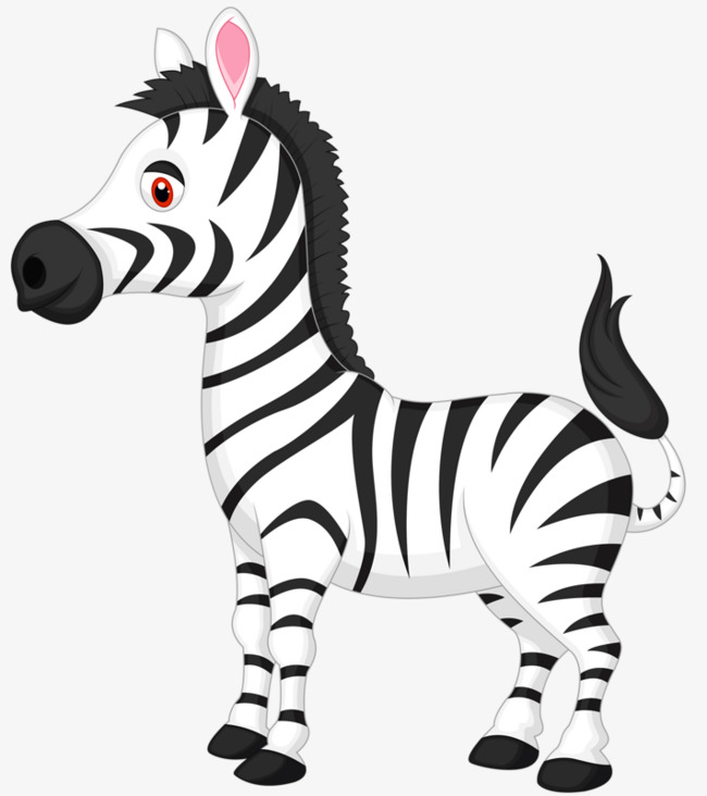Clipart zebra. Cartoon animal png image