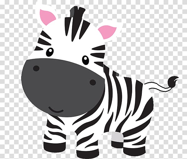Clipart zebra baby jungle. Animals zoo cartoon transparent