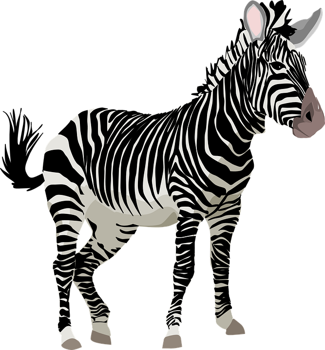 Wild animal pencil and. Clipart zebra coloring