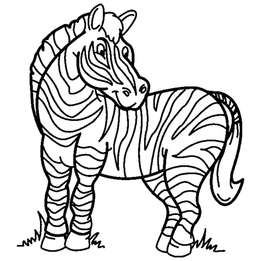 Clipart zebra coloring sheet. Free print pages download