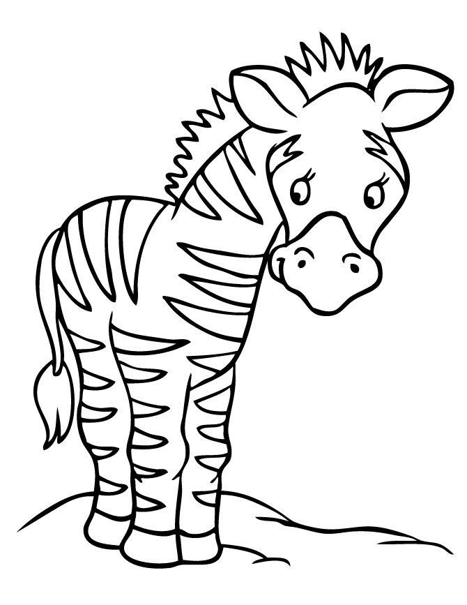 Cute cartoon page hm. Clipart zebra coloring sheet