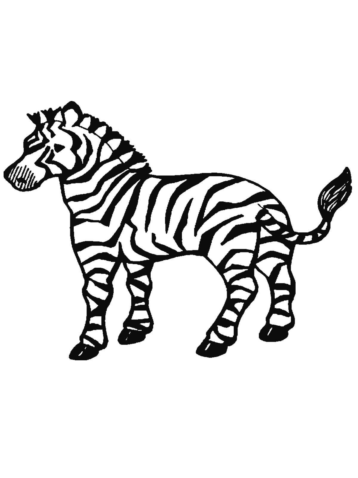 Clipart zebra coloring sheet. Free printable pages for