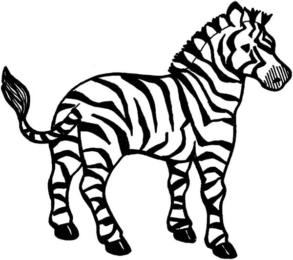 Clipart zebra coloring. Of page panda free