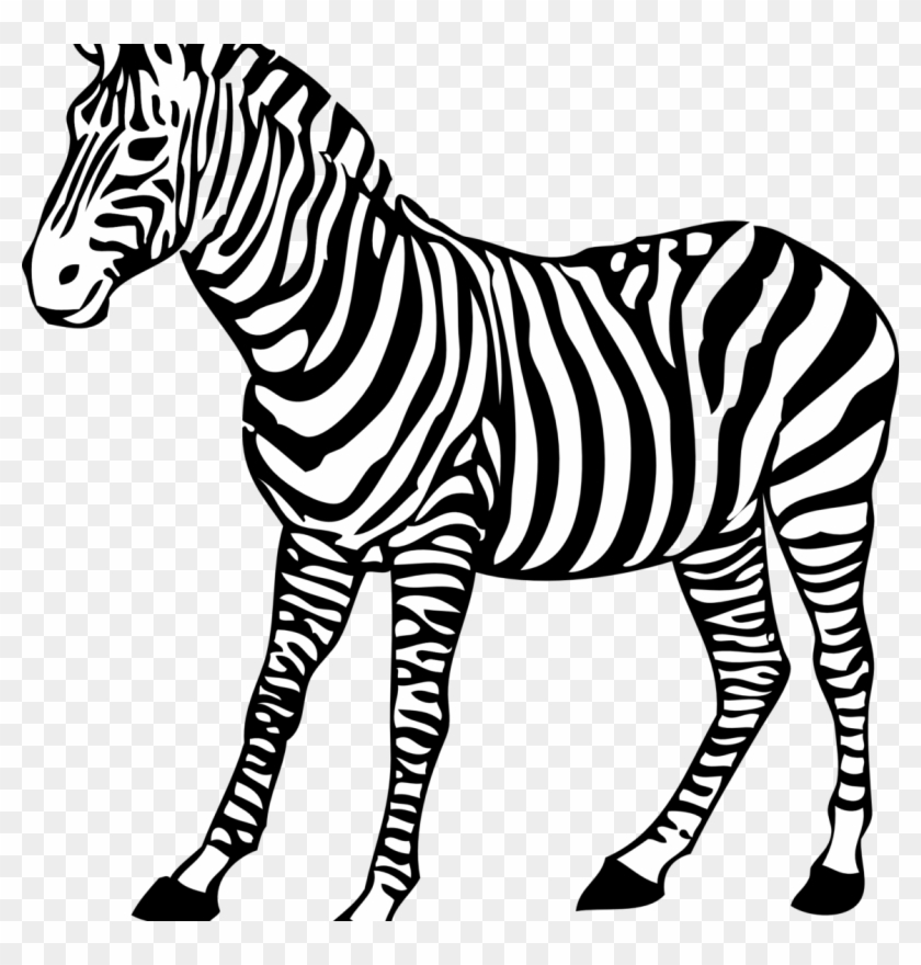 clipart zebra colouring page