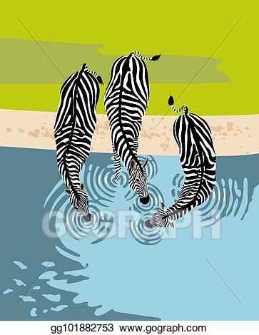 clipart zebra drinking water