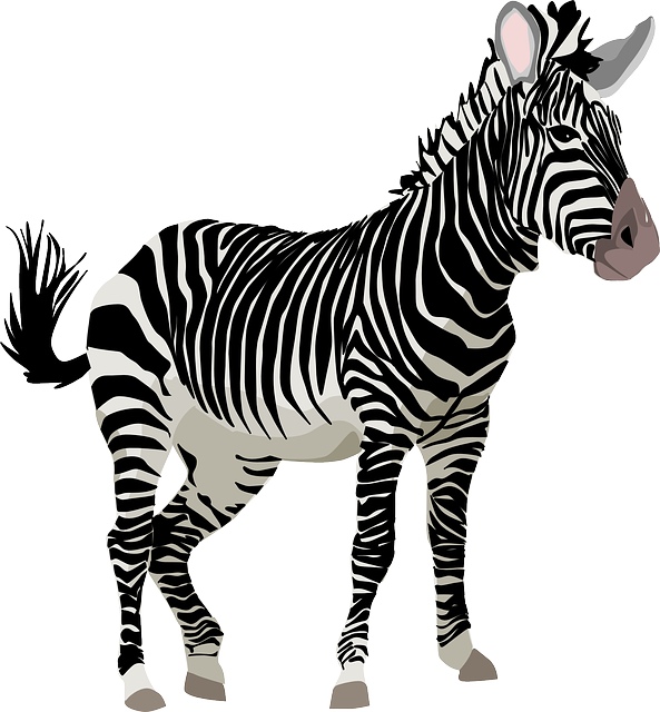 clipart zebra easy