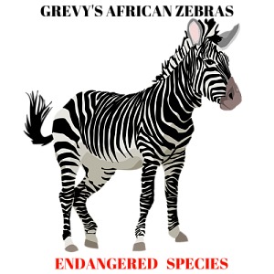 clipart zebra endangered animal