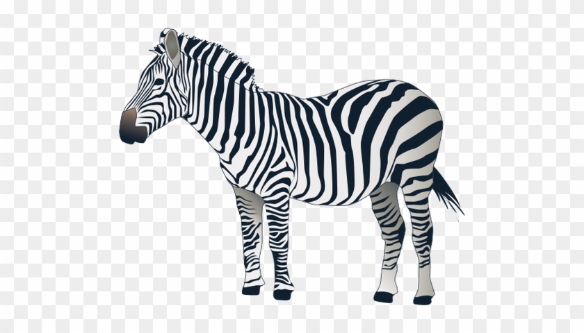 clipart zebra grey