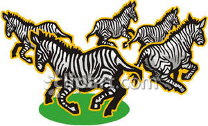clipart zebra group zebras