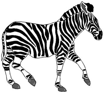 Clipart zebra jpeg.  animal free clip