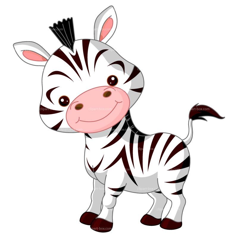 Clipart zebra kid. Pictures for kids coloring