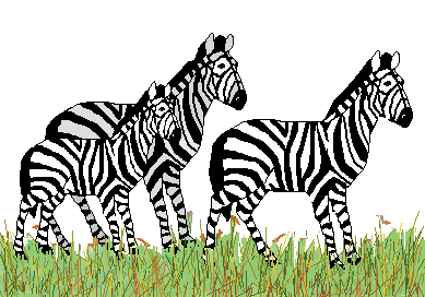 Clipart zebra logo. Free cliparts download clip