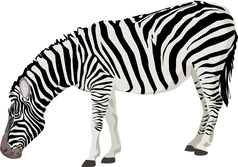 Imagen gratis en pixabay. Clipart zebra marty