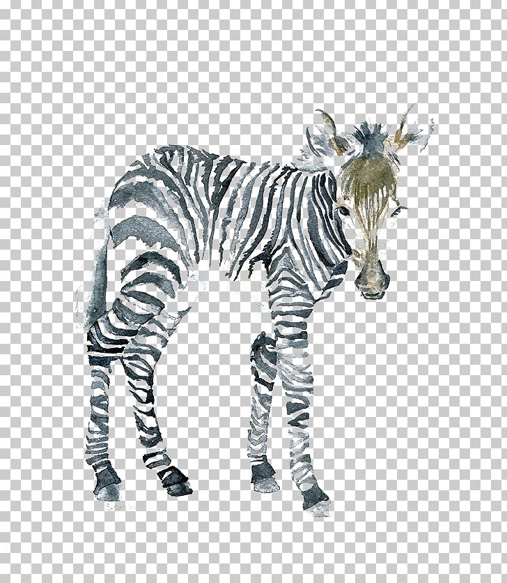 clipart zebra painting