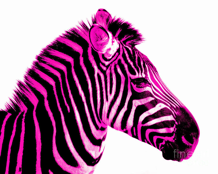clipart zebra pink zebra