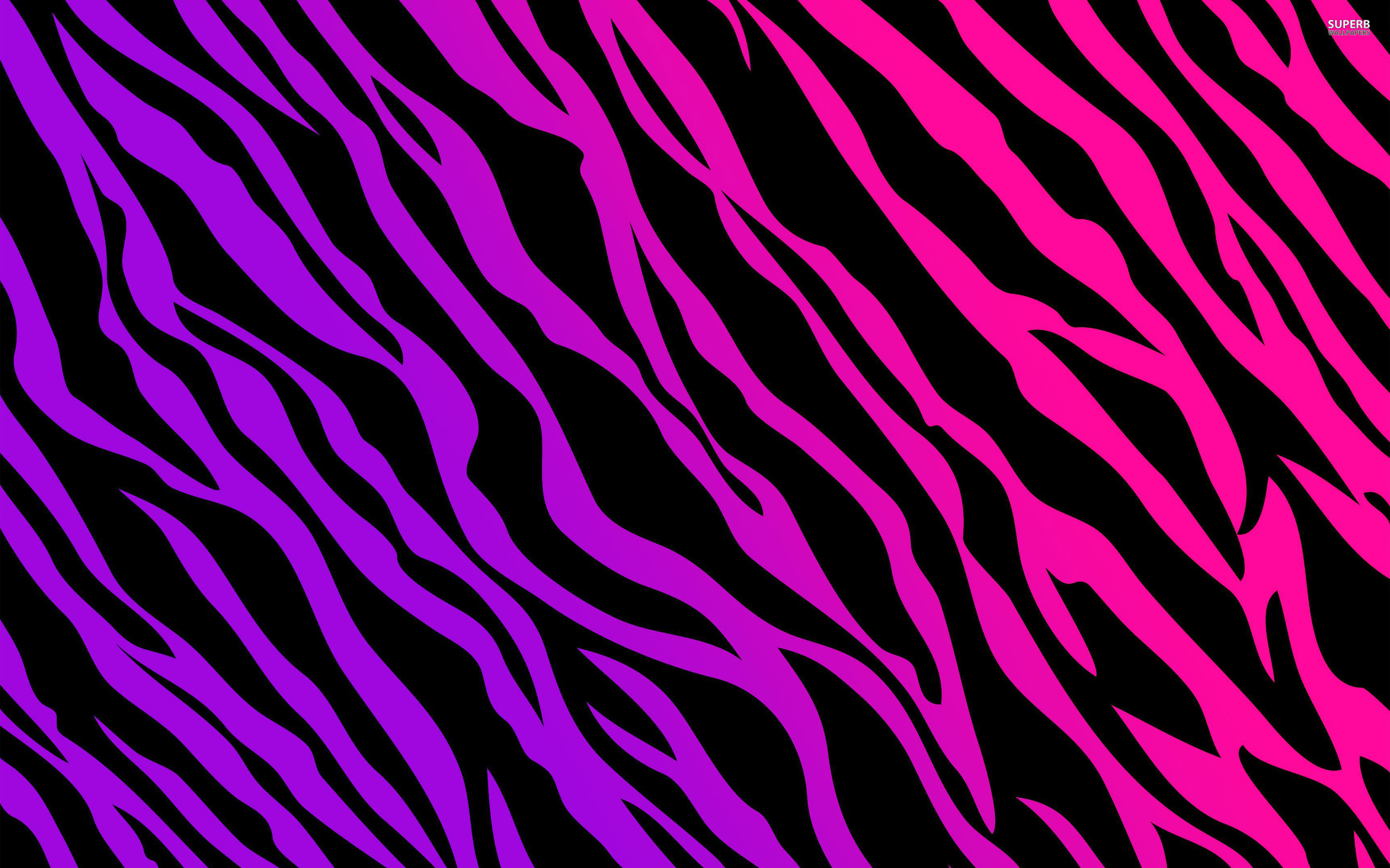 Clipart zebra purple zebra. Pics pink and print
