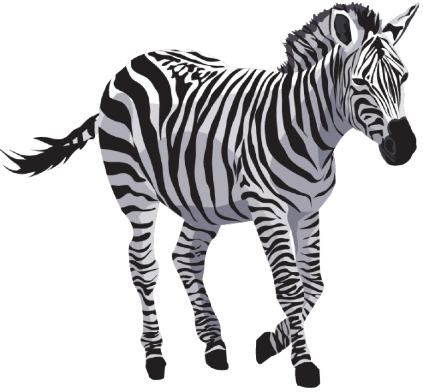 clipart zebra quagga