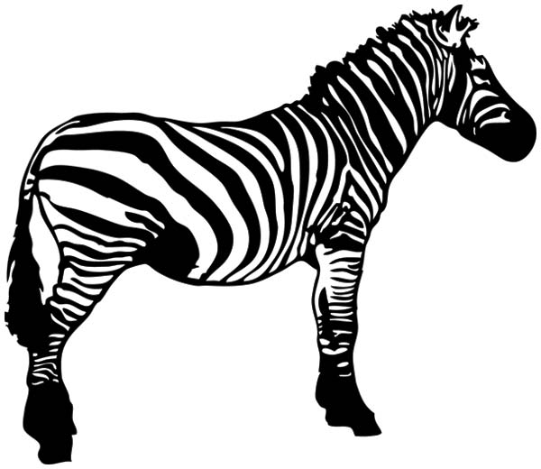 clipart zebra silhouette