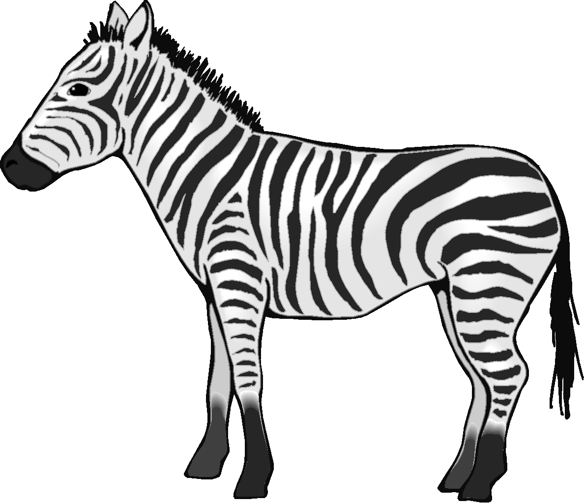 Clipart zebra sketch. Drawing free download best