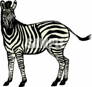 Clipart zebra tail. Swishing its royalty free