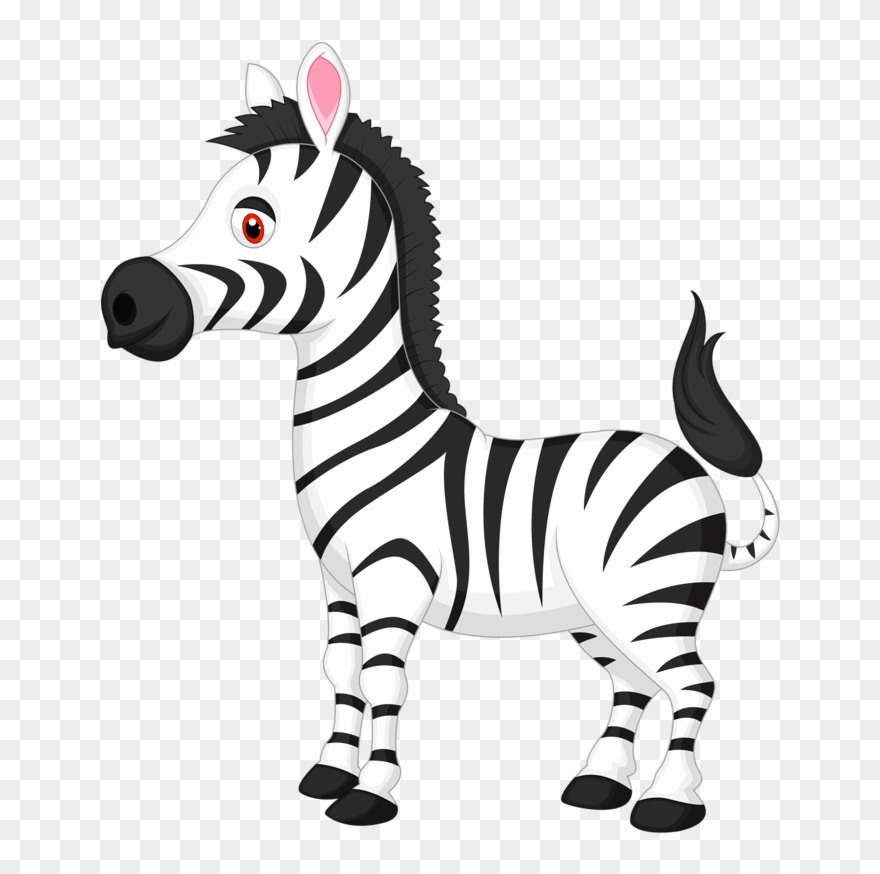 Clipart zebra tail. Vertebrate mammal animal figure