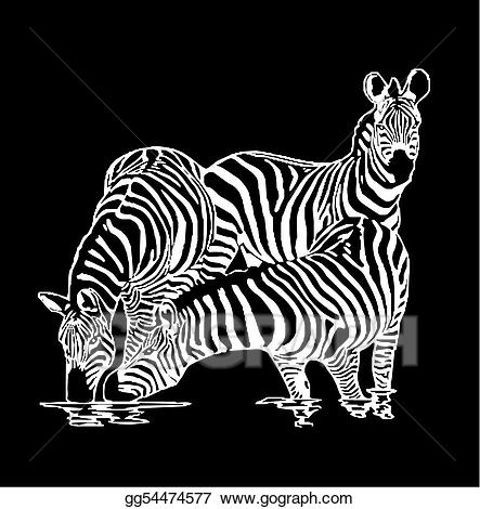 clipart zebra three