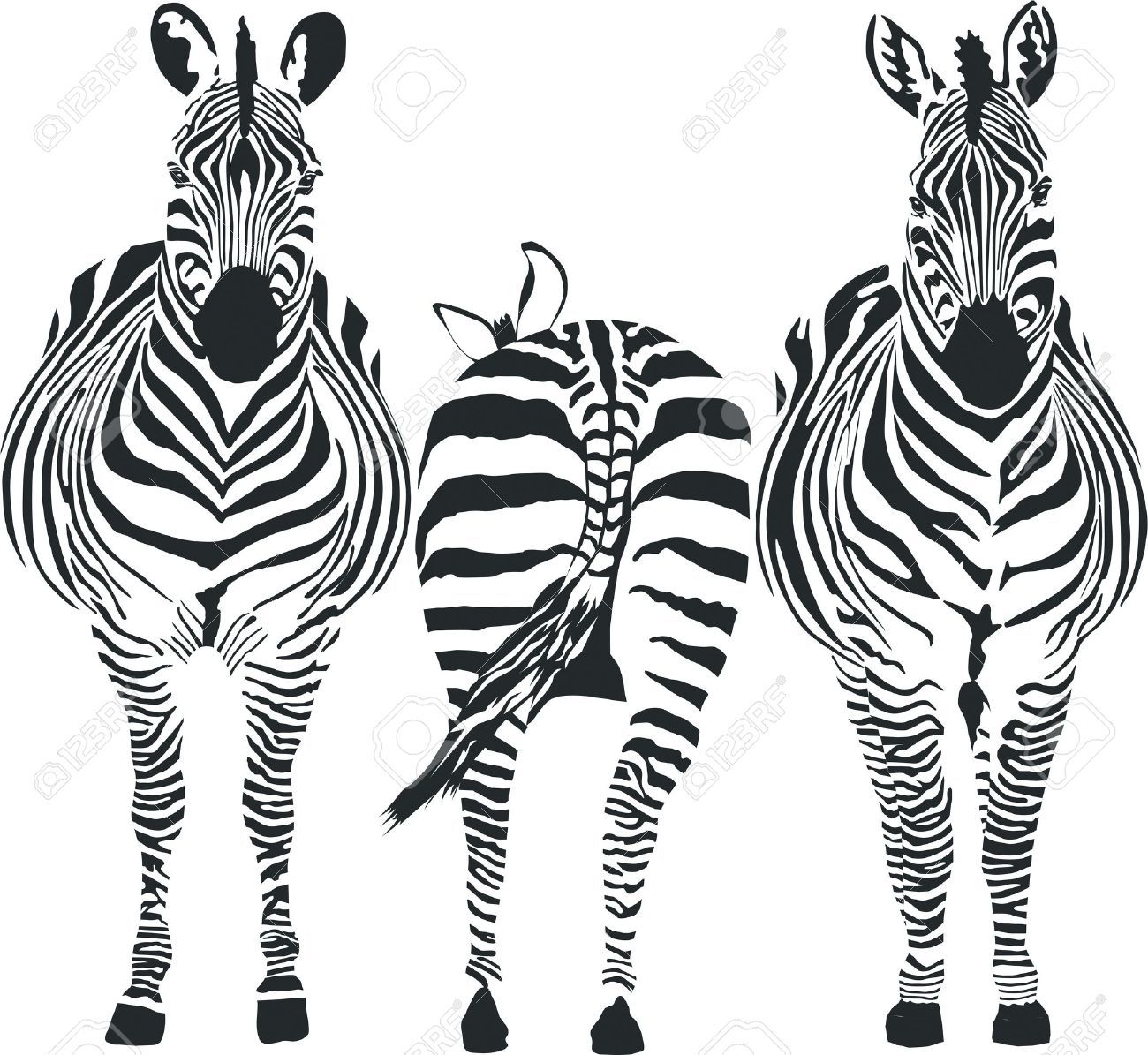 clipart zebra three