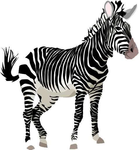 clipart zebra transparent background